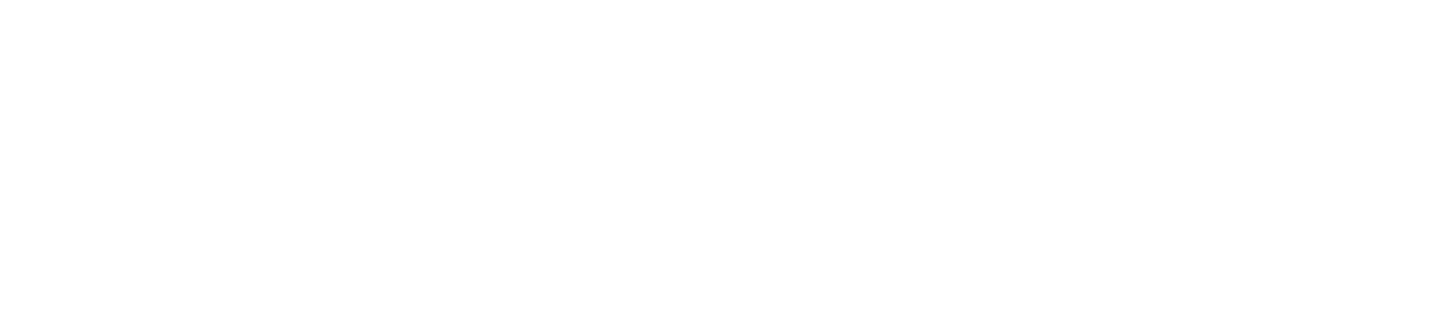 Apple icon